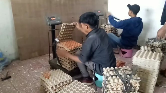 Pedagang Telur di Sumedang Jual Murah Telur Pecah
