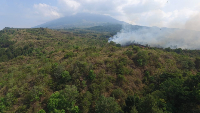 Kebakaran terjadi di hutan dan lahan Gunung Ceremai.