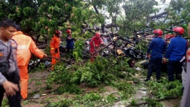 Pohon tumbang di Balai Kota DKI Jakarta.