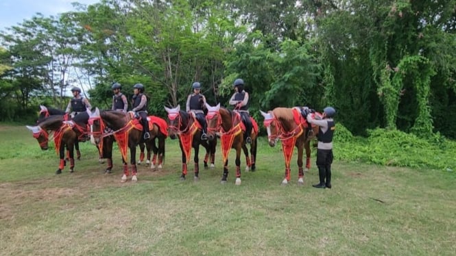 Pasukan berkuda Turangga Polri di Bali.
