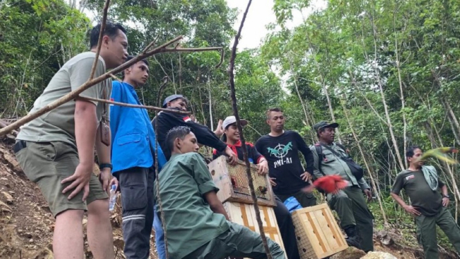 BKSDA Maluku Lepasliarkan Puluhan Satwa Endemik di Suaka Alam