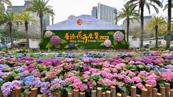 Hong Kong Flower Show 2023 di Victoria Park, Hong Kong