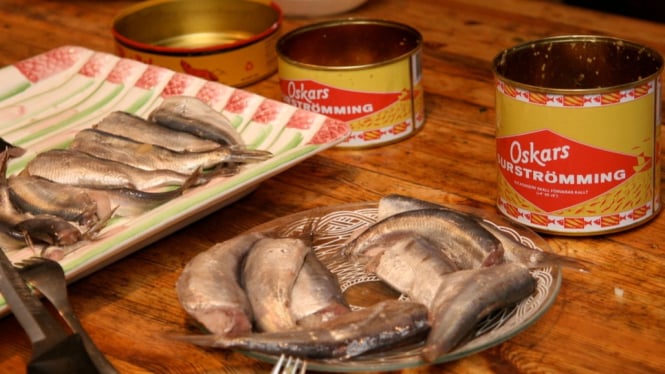 surströmming (ikan basi) makanan tradisional Swedia