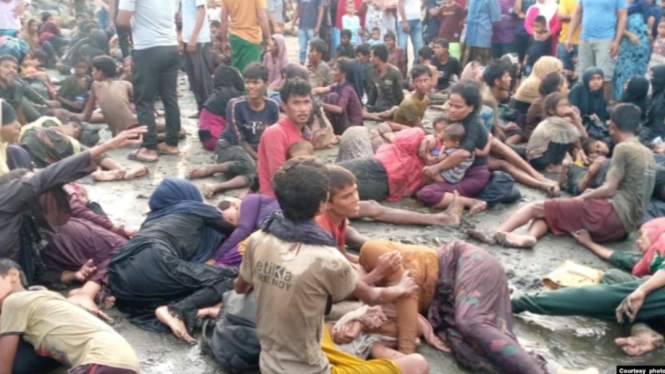 Pengungsi Muslim Rohingya di Aceh