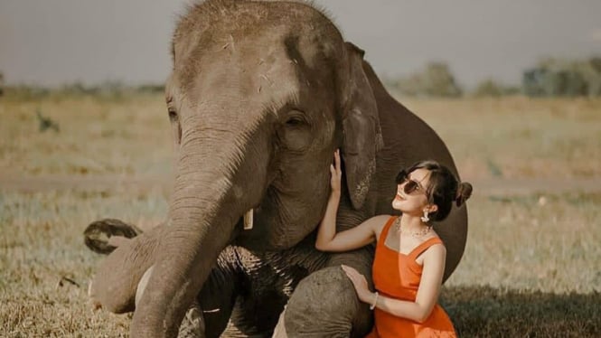 Foto bersama Gajah Sumatera