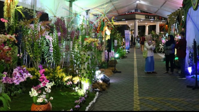 Batu International Orchid Show 2022