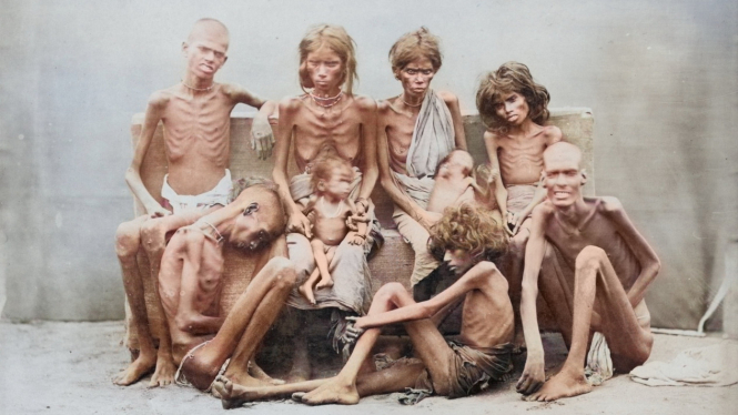 Kelaparan Besar di India tahun 1876–78