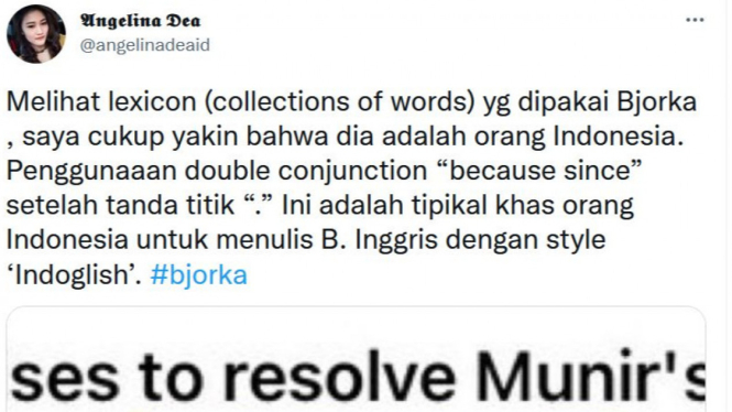 Bjorka orang Indonesia