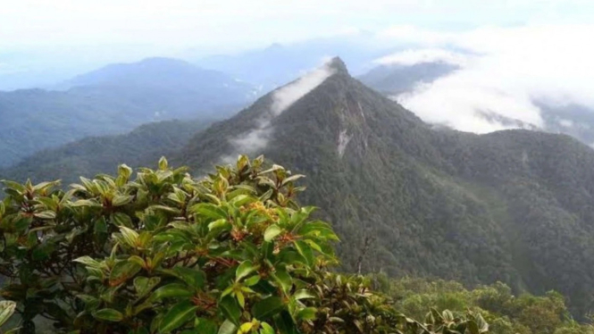 Gunung Halau Halau, Kalimantan Selatan